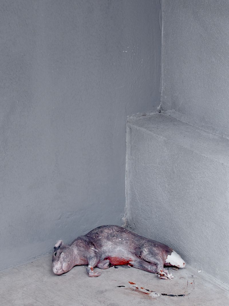 © Joel Jimenez - Deceased fake rat positioned within a recreated prison cell.