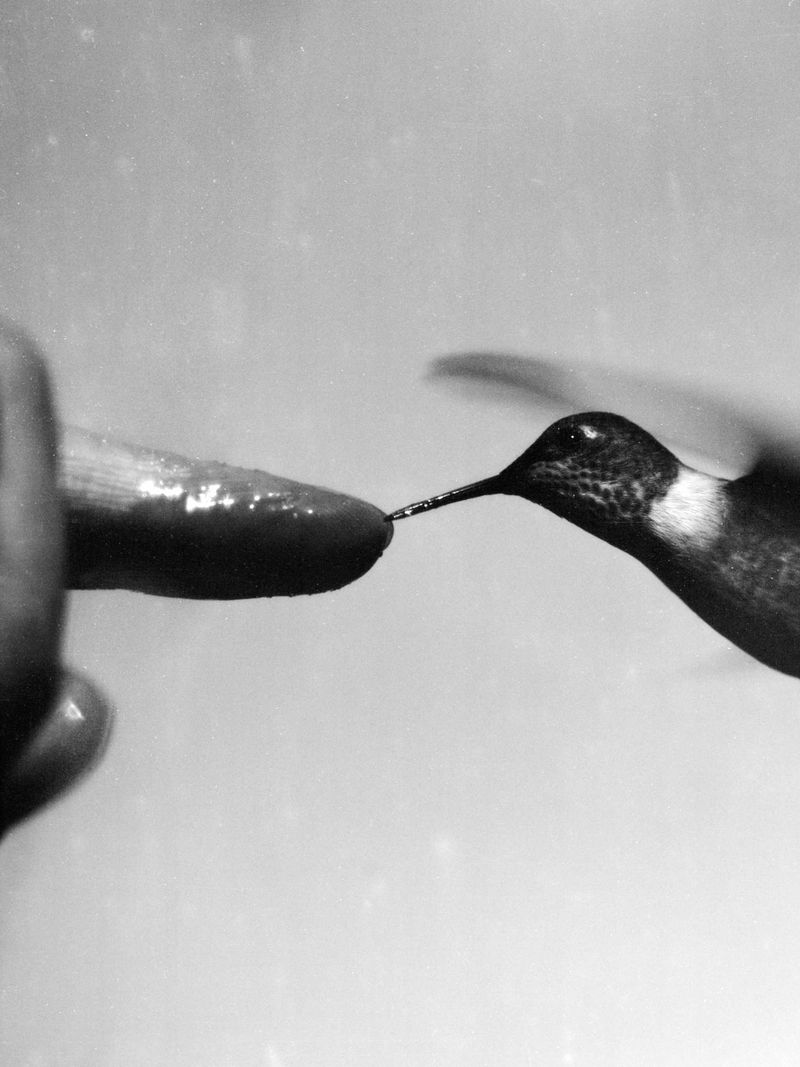 © Joel Jimenez - "Contact", 2026.