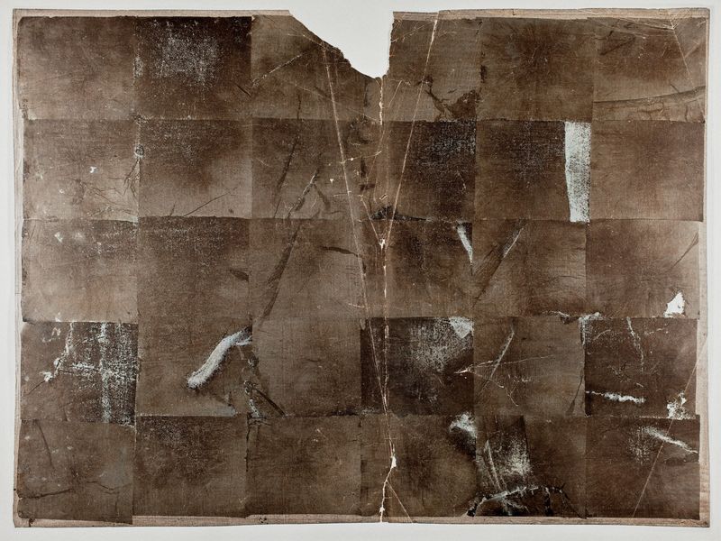 © Joel Jimenez - Image from the Glimmers, feathers and staring skies photography project