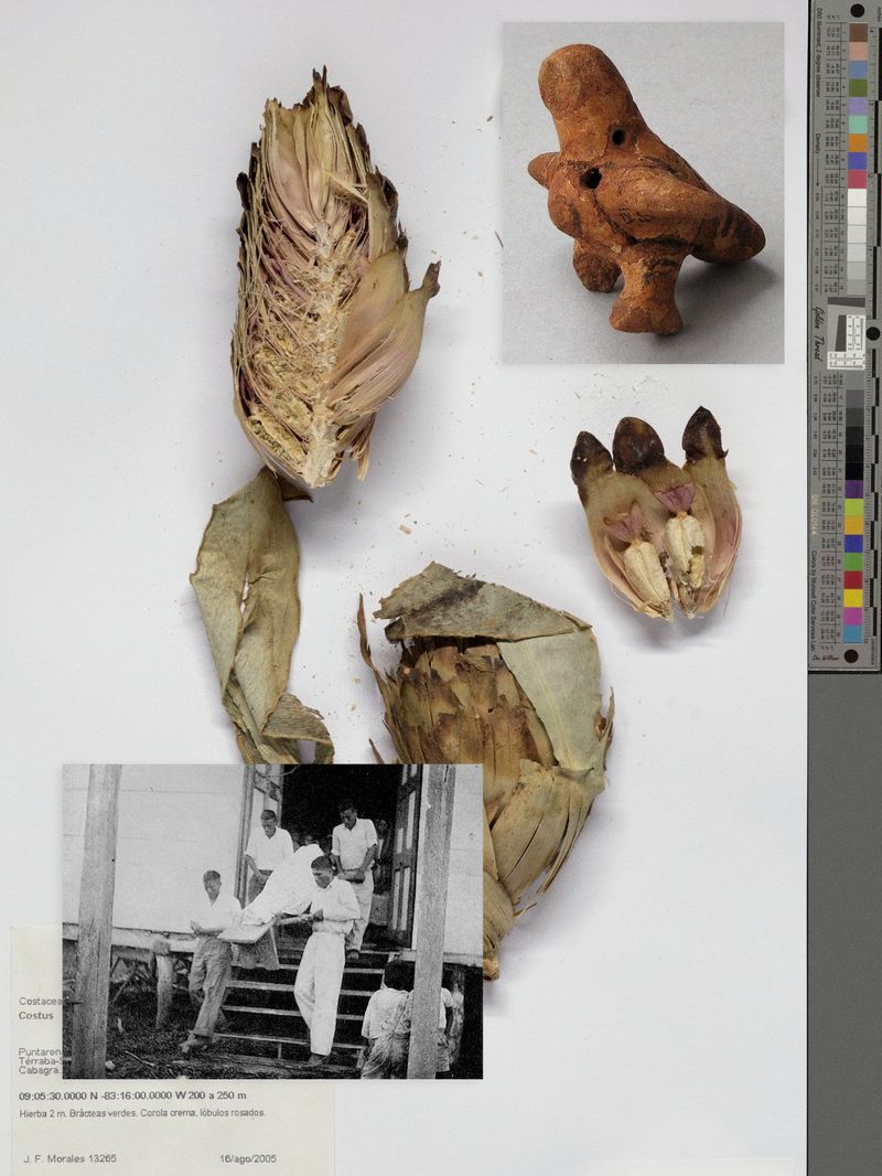 © Joel Jimenez - Image from the Glimmers, feathers and staring skies photography project