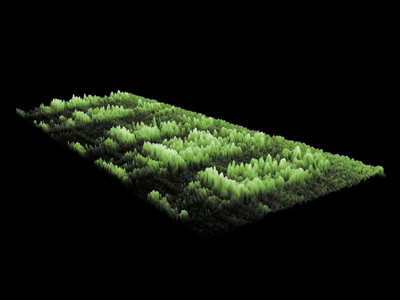 © Joel Jimenez - Image from the Glimmers, feathers and staring skies photography project