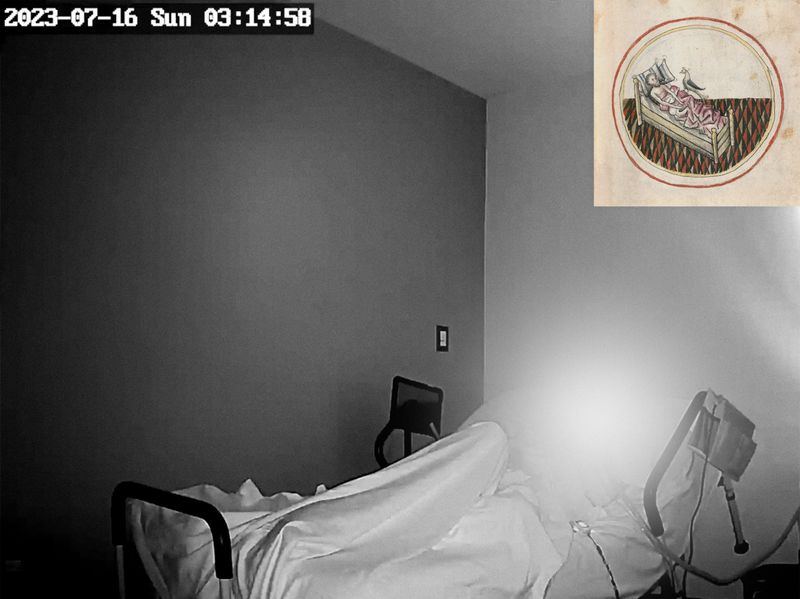 © Joel Jimenez - Image from the Glimmers, feathers and staring skies photography project