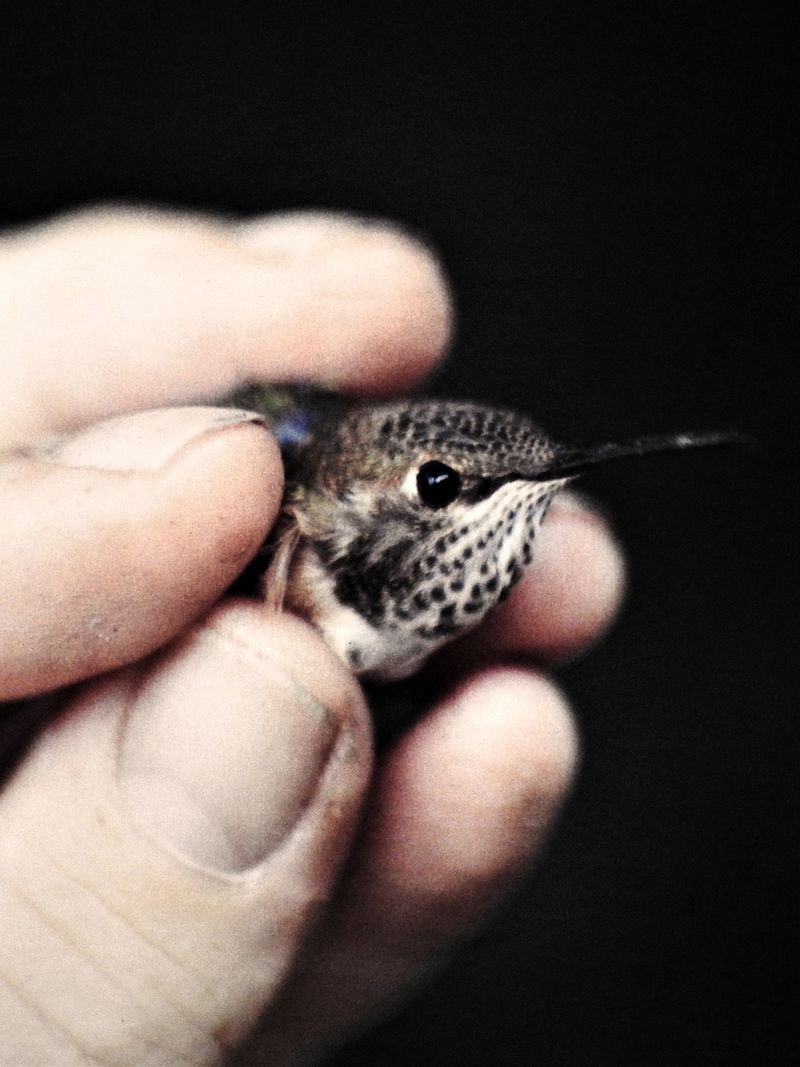 © Joel Jimenez - "Hold", 2025.