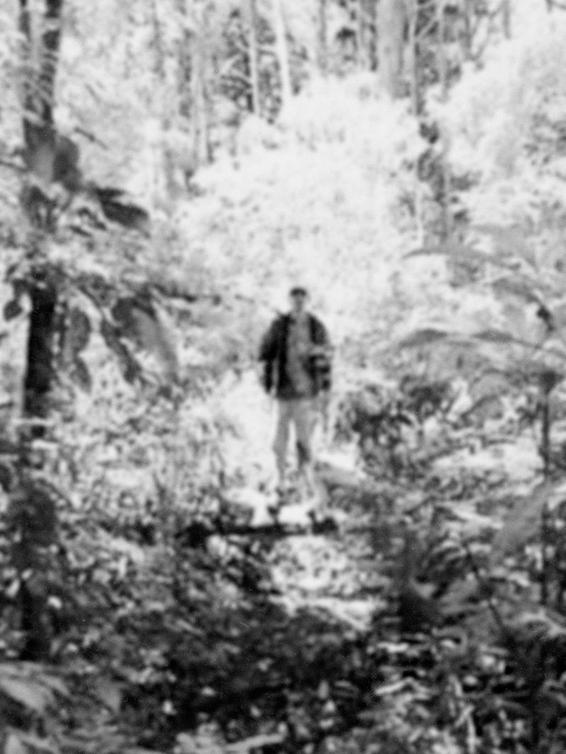 © Joel Jimenez - "The Apparition", 2025.