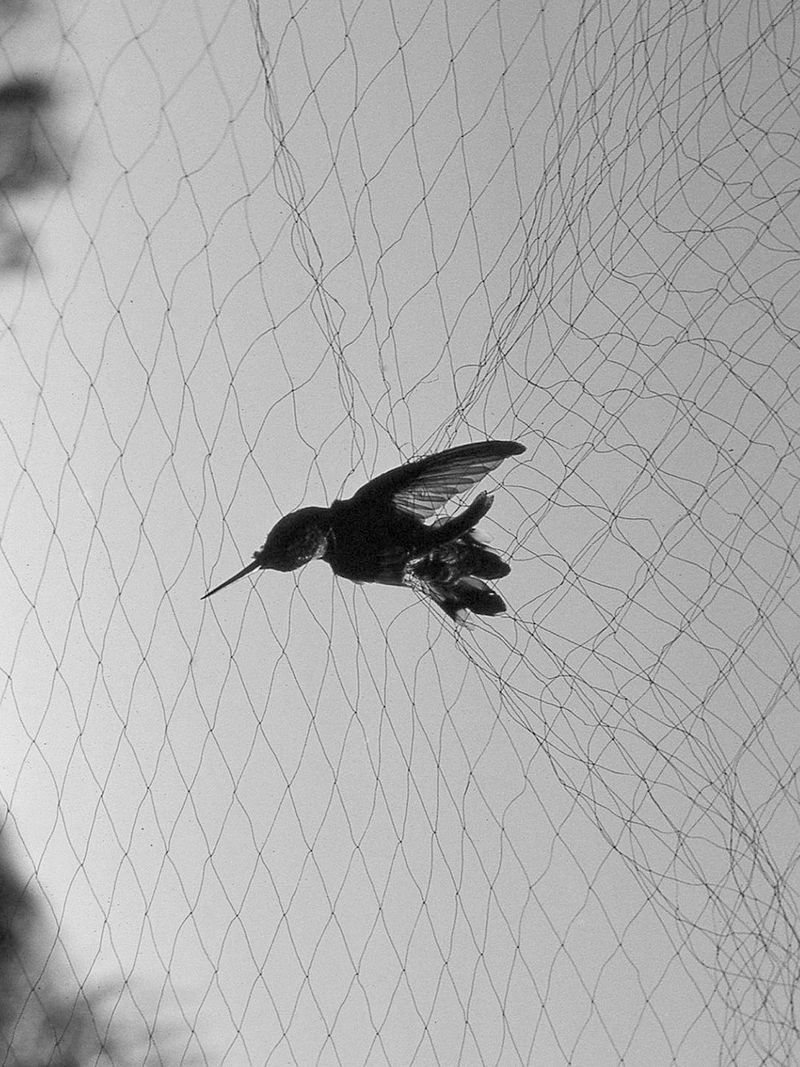 © Joel Jimenez - "The Threshold", 2025.