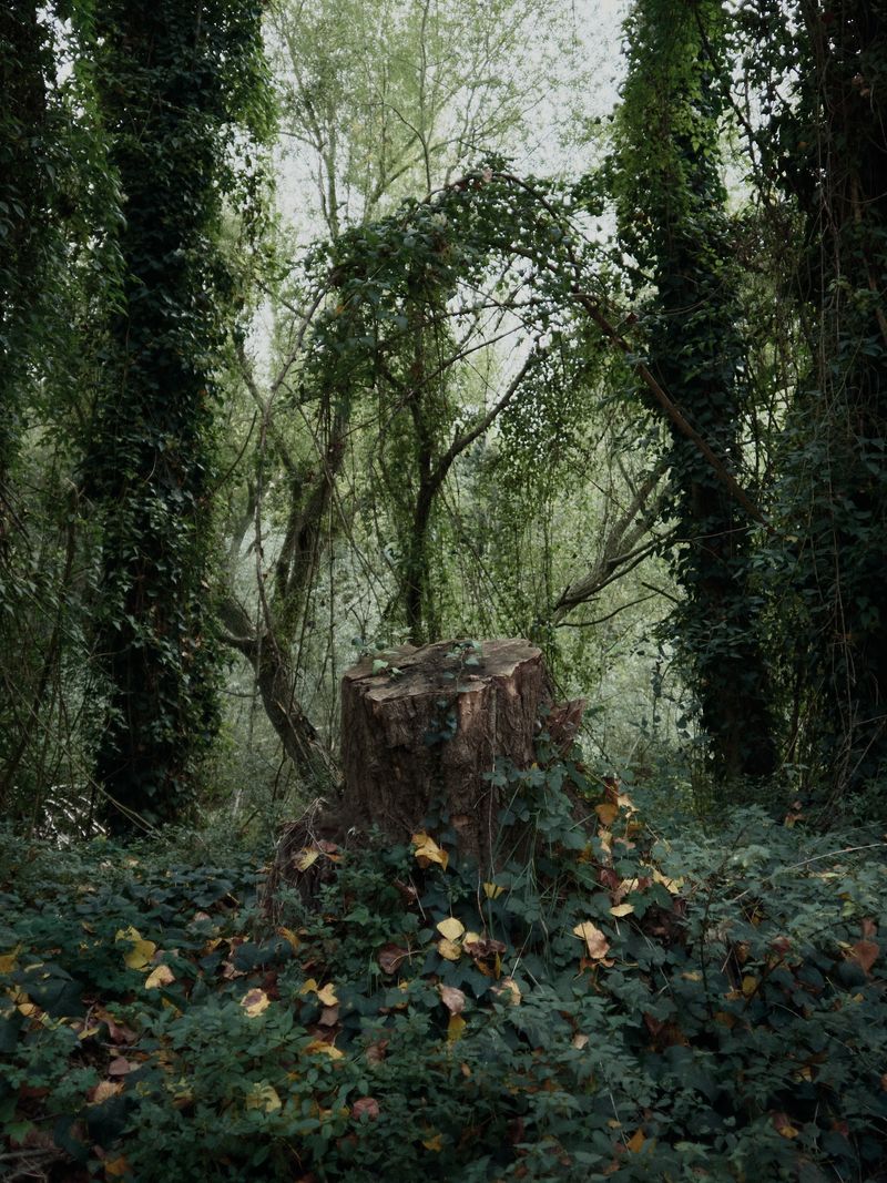 © Joel Jimenez - Image from the The river is a loom, the thread is a mountain photography project