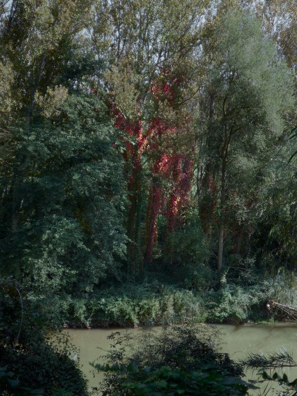 © Joel Jimenez - Image from the The river is a loom, the thread is a mountain photography project