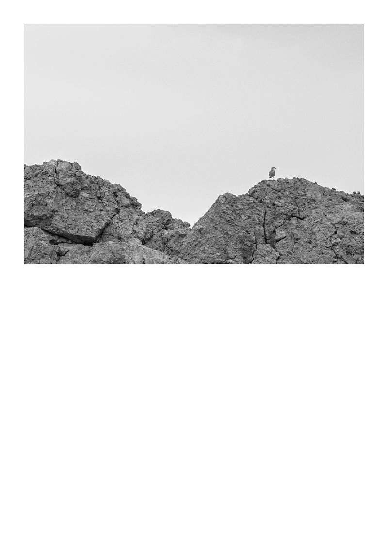 © tine guns - Image from the Rocambolesco photography project