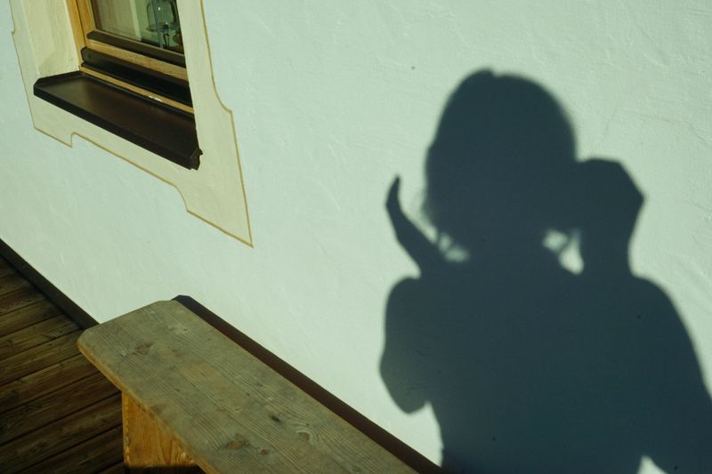 © Samantha Morse - 8 Embrace (the Shadow)