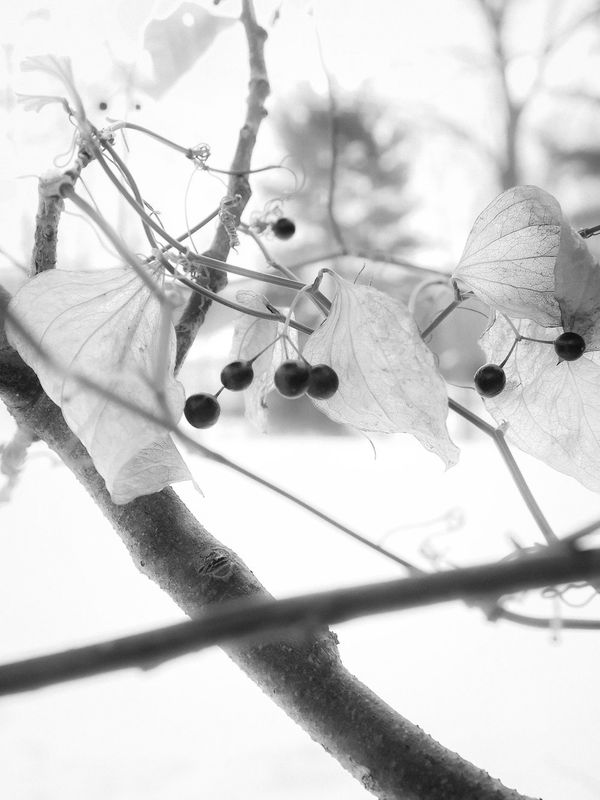 © Samantha Morse - 3 The Past