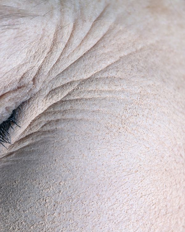 © Allison DeBritz - Image from the gravity locked her in rotation photography project