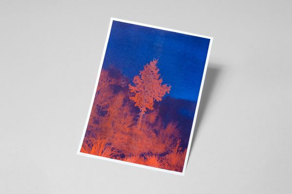 Image from a project on PhMuseum