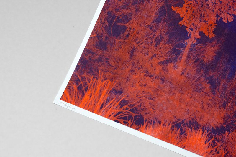 Image from a project on PhMuseum