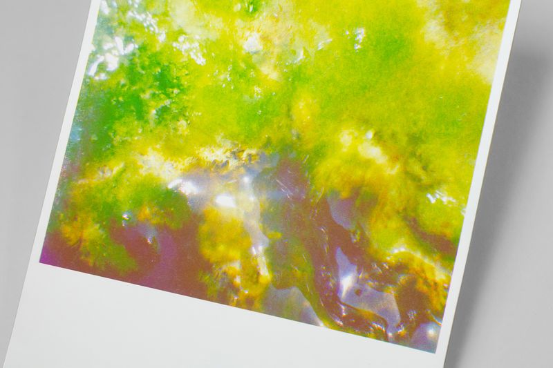 Image from a project on PhMuseum