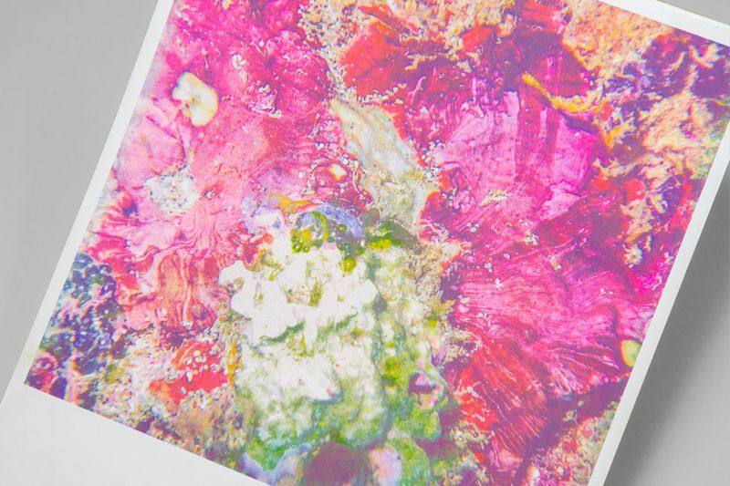 Image from a project on PhMuseum