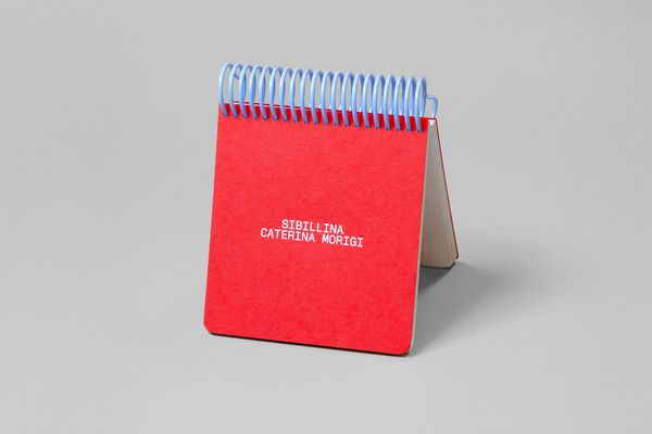 Image from a project on PhMuseum