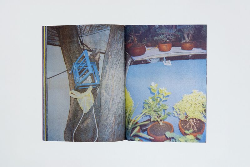 Image from a project on PhMuseum