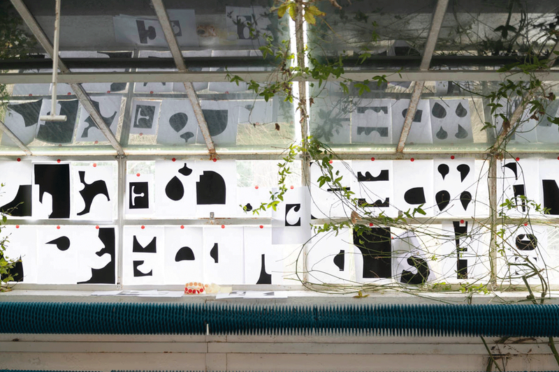 Image from a project on PhMuseum