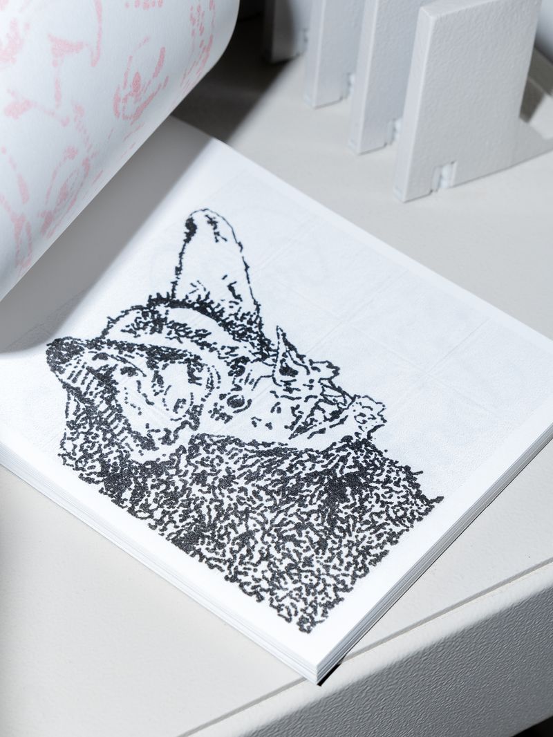 Image from a project on PhMuseum