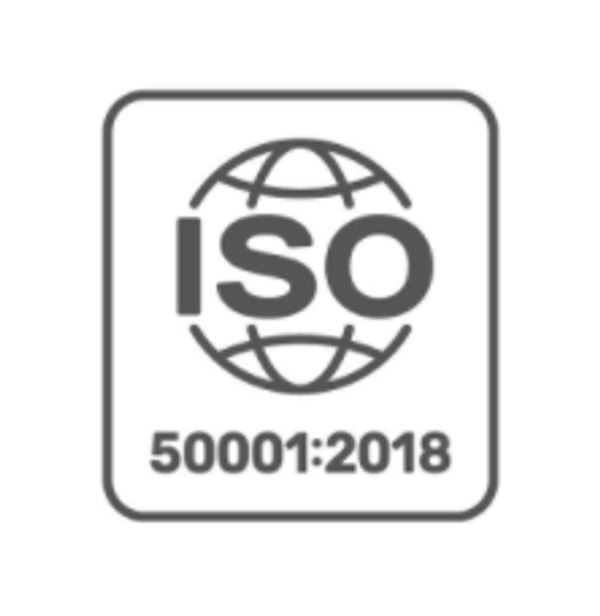 Formación de auditor interno iso 50001