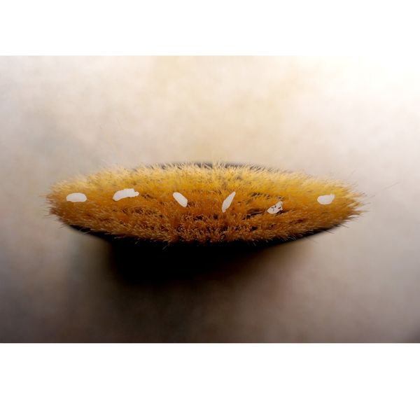 © BALLOON - Sweeping · First Pulse               • A sweeping gesture against chaos, where latent force begins its pulse.