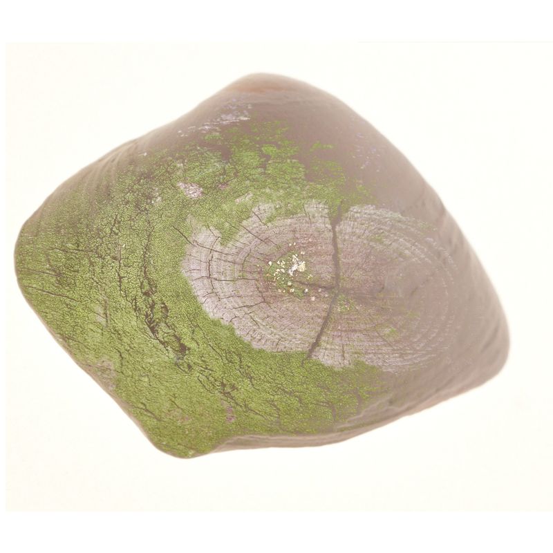 © BALLOON - Image from the The Force Within Crevices photography project