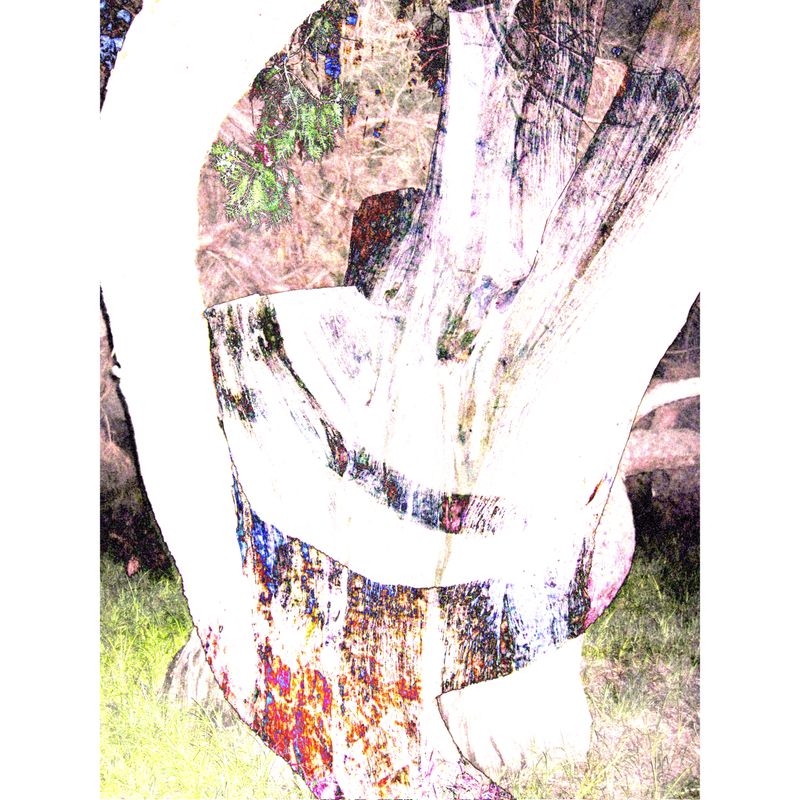 © BALLOON - Image from the The Force Within Crevices photography project