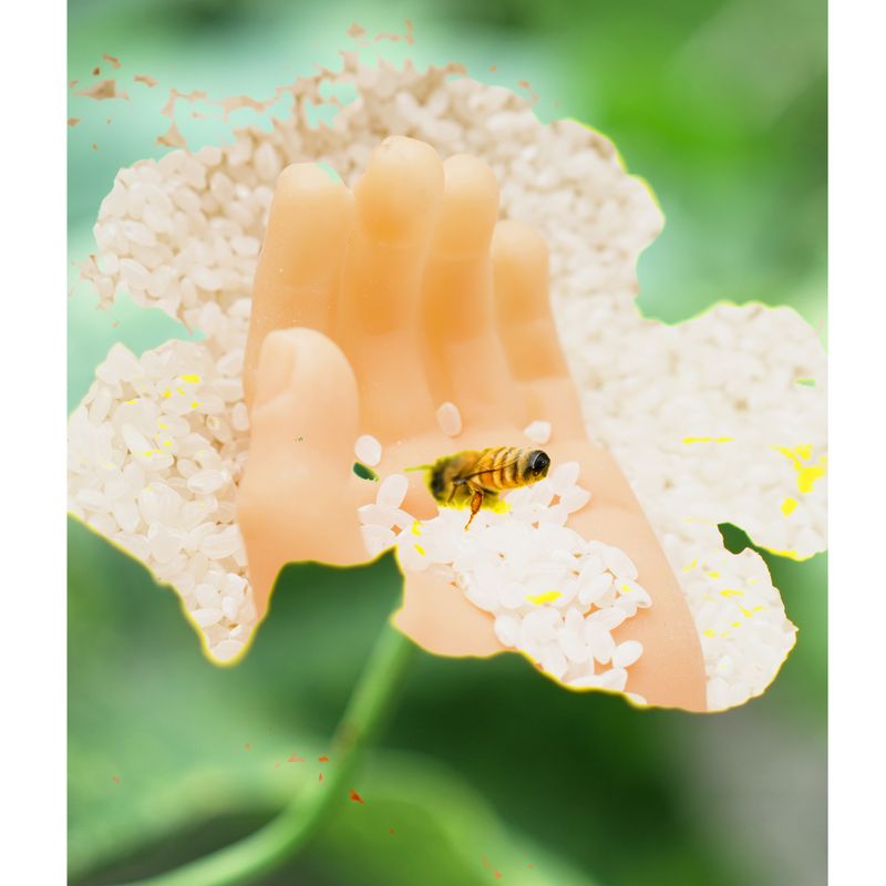 © BALLOON - Half-Knowledge, Half-Faith