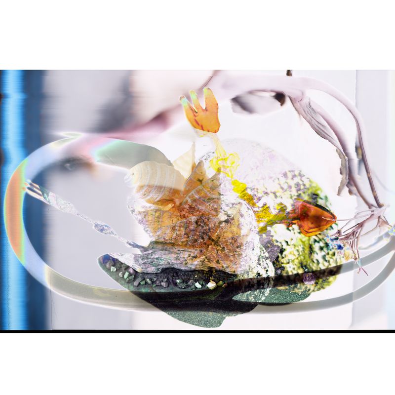 © BALLOON - When Illusion Begins to Breathe