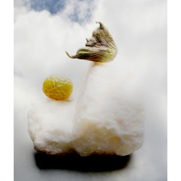 © BALLOON - A Bird Dreamed of the Weight of Falling