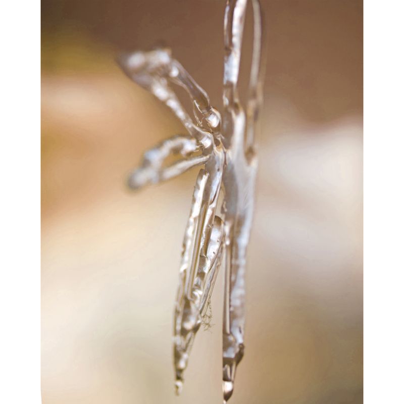 © BALLOON - The Ruins Celebrate Themselves