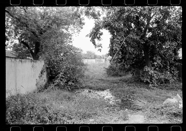 © Anuj Ambalal - Grounds by the ashram cowshed