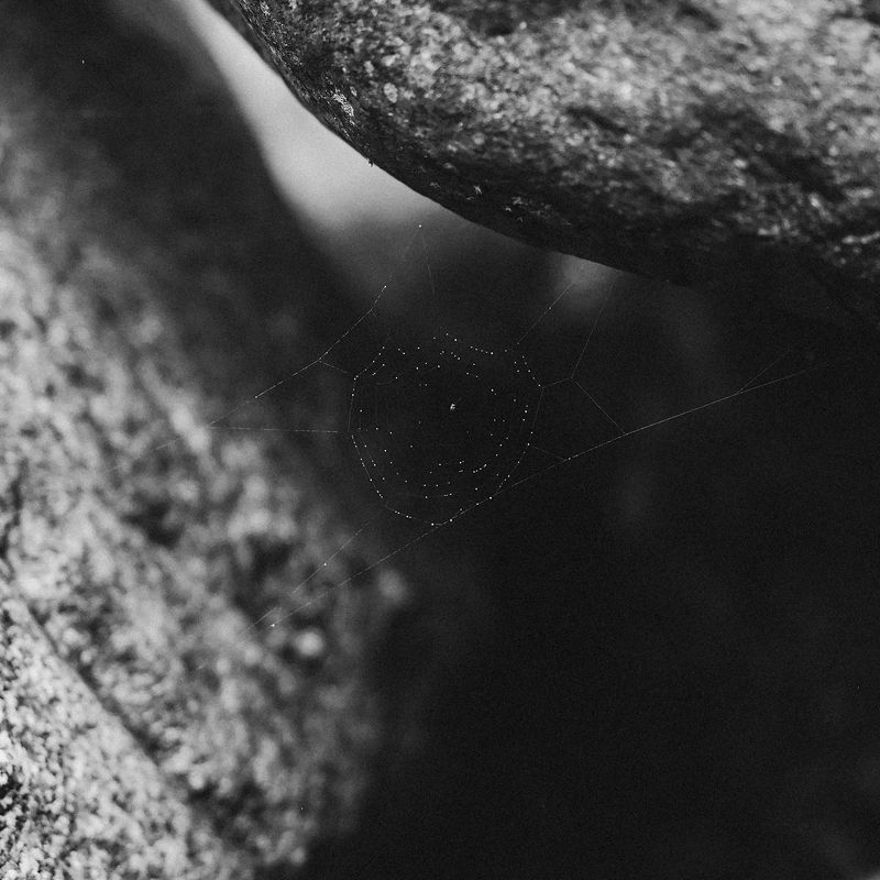 © Simin Jing - Image from the PAPER BOAT photography project