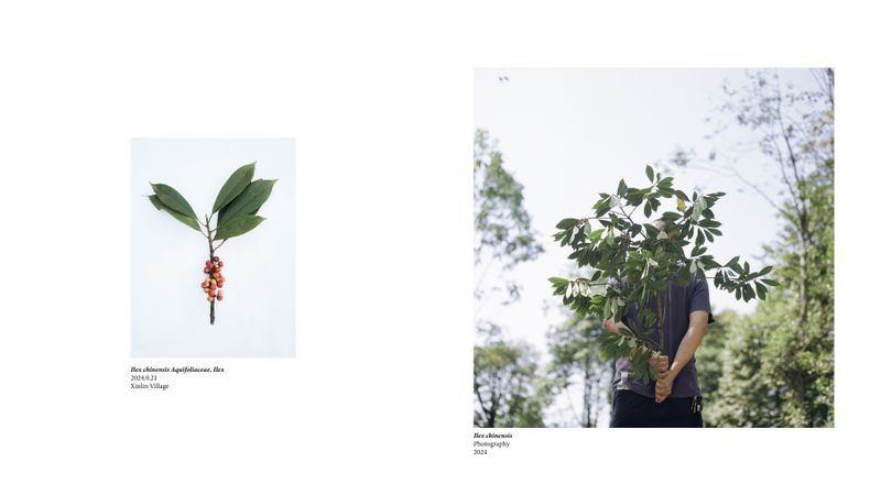 © Simin Jing - Image from the 616 photography project