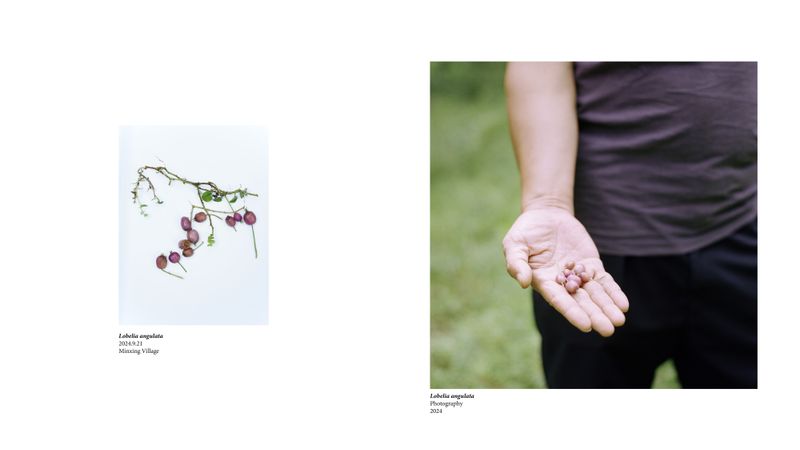 © Simin Jing - Image from the 616 photography project