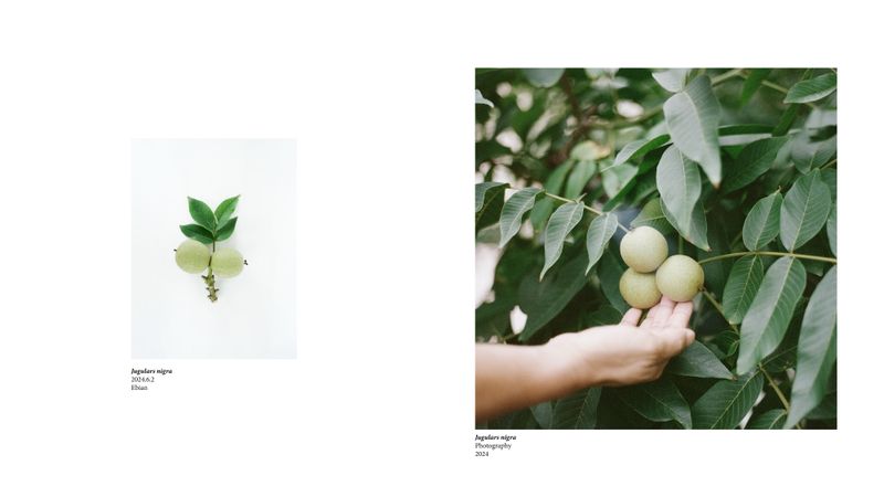 © Simin Jing - Image from the 616 photography project