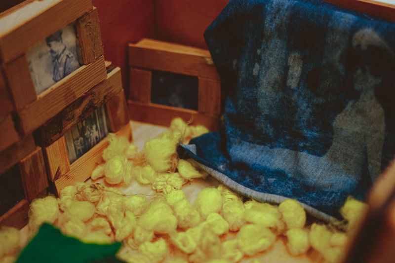 © Caroline Alena Bergwinkl - Das Blütenstaubzimmer (eng. The Pollen room)