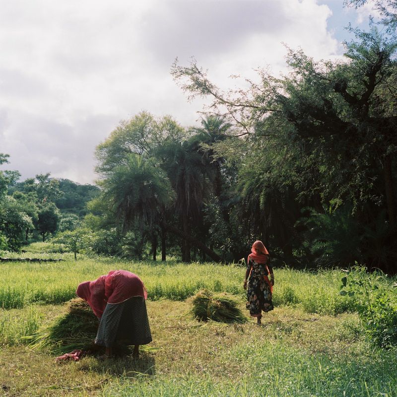 © Michael Rhebergen - Image from the Girls of Piplantri photography project