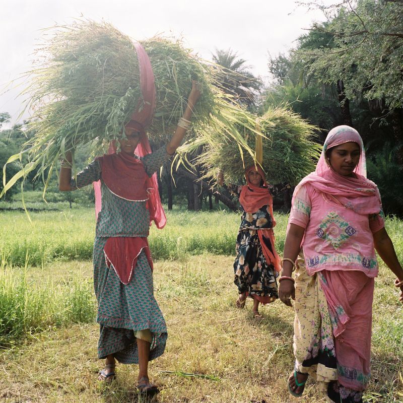 © Michael Rhebergen - Image from the Girls of Piplantri photography project