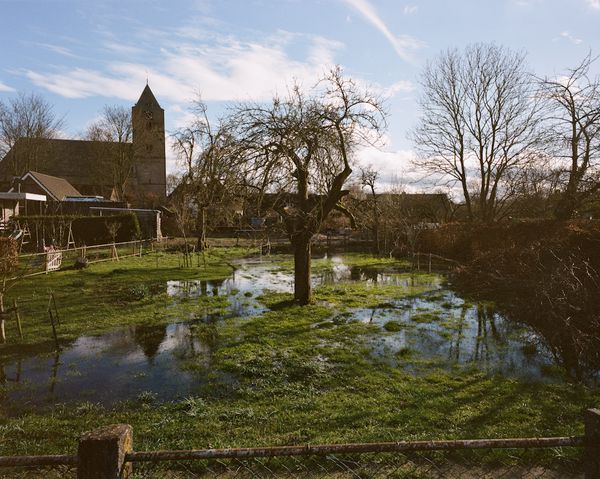 © Michael Rhebergen - Zalk - March 2020