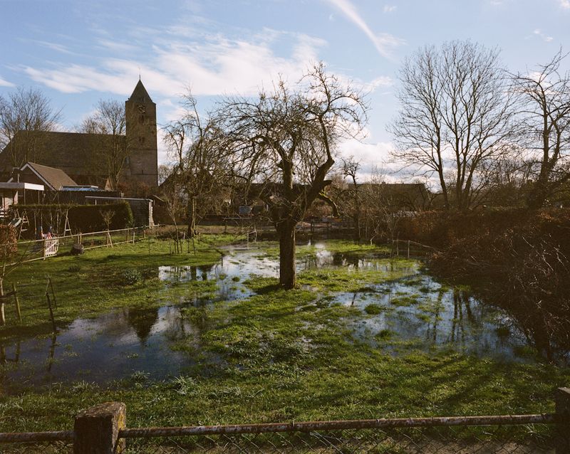 © Michael Rhebergen - Zalk - March 2020