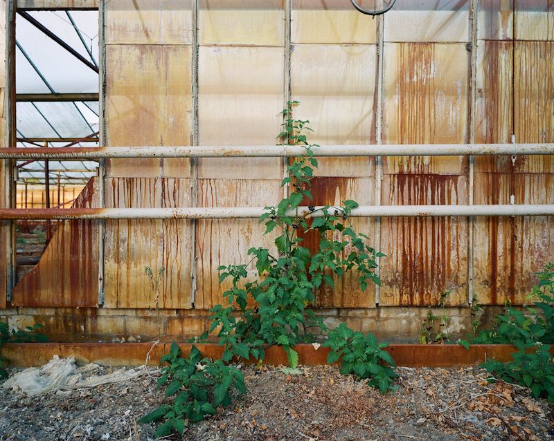 © Michael Rhebergen - Eefde - September 2021