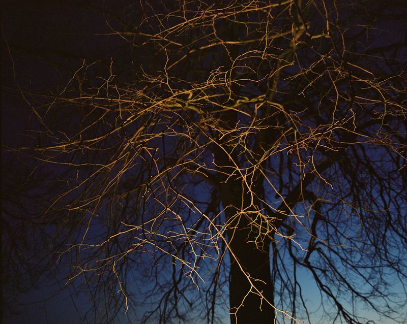 © Michael Rhebergen - Deventer - February 2021
