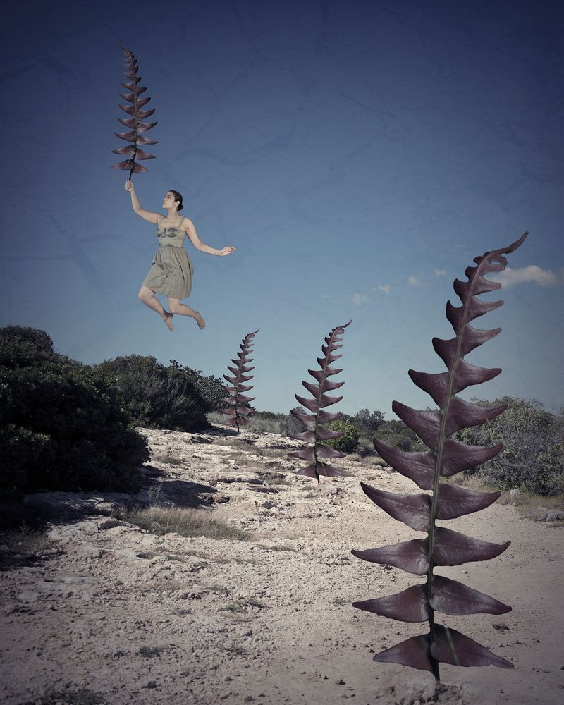 © Viviana  Torres-Mestey - Image from the Fearless Dreams: to fall, to fly, to be free photography project