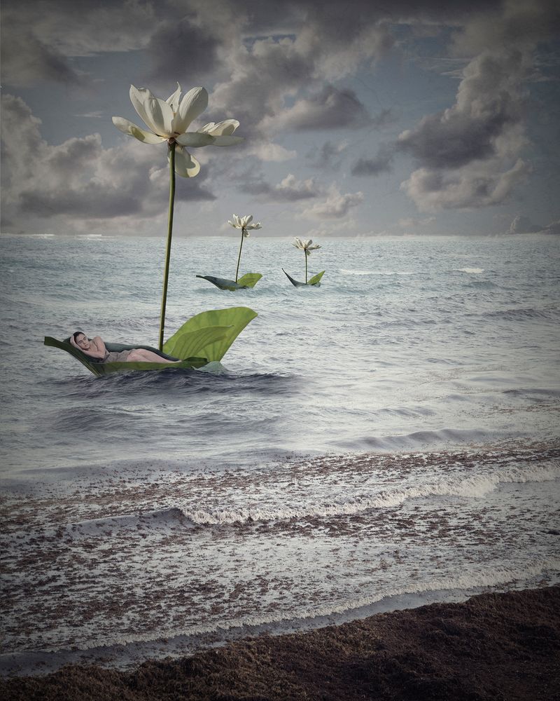 © Viviana  Torres-Mestey - Image from the Fearless Dreams: to fall, to fly, to be free photography project