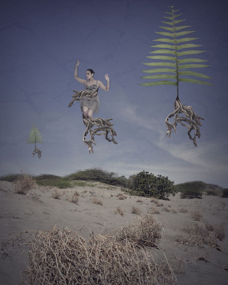 © Viviana  Torres-Mestey - Image from the Fearless Dreams: to fall, to fly, to be free photography project