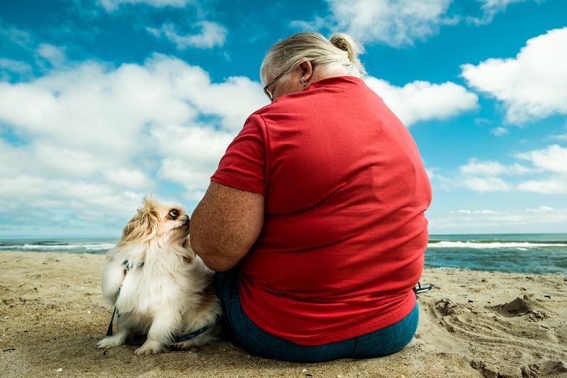 © Isabelle Thibault - Image from the In the company of dogs photography project