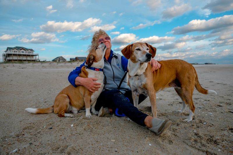 © Isabelle Thibault - Image from the In the company of dogs photography project