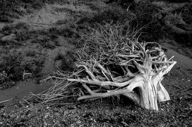 © Isabelle Thibault - Image from the Lost Freedom photography project