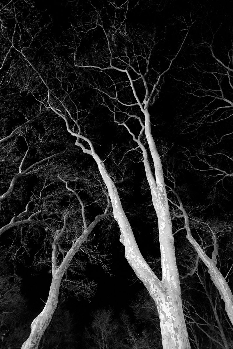 © Isabelle Thibault - Image from the Lost Freedom photography project